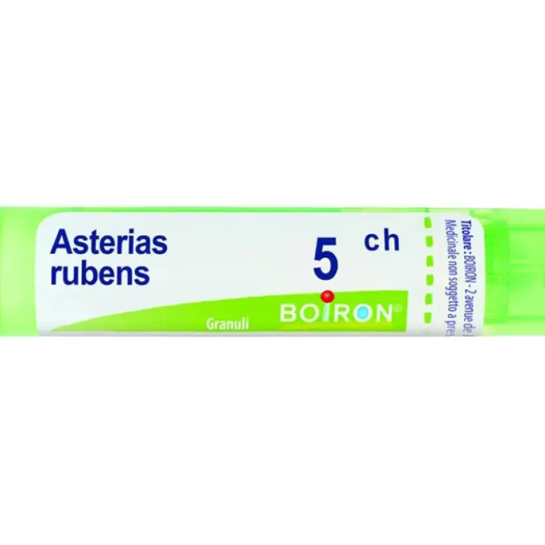 BO.ASTERIAS RUB.Tubo 5CH