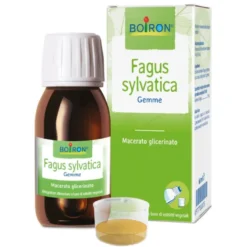 BO.FAGUS SYLVATICA MG 60ml.