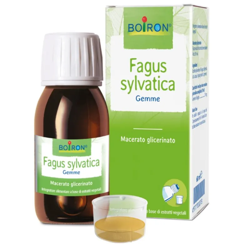 BO.FAGUS SYLVATICA MG 60ml.