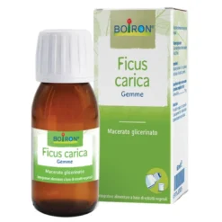 BO.FICUS CARICA MG 60ml