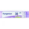 BO.PYROGENIUM Tubo 30CH