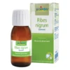 BO.RIBES NIGRUM 60ML INT