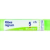 BO.RIBES NIGRUM Tubo 5CH