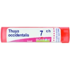 BO.THUYA OCC.Dose 7CH