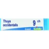 BO.THUYA OCC.Dose 9CH