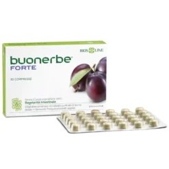 BUONERBE Regola Fte 30 Tav.