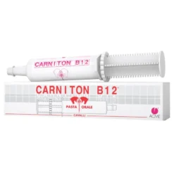 CARNITON B12 Pasta Sir.100g