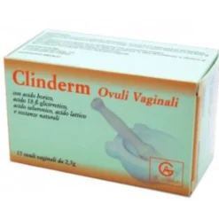 CLINDERM 15 Ovuli Vag.2,5g