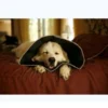 COMFY CONE Coll.XL 30cm