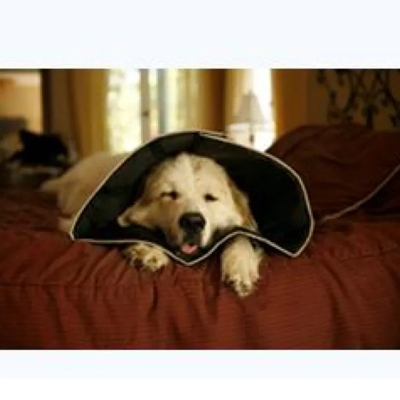 COMFY CONE Coll.XL 30cm