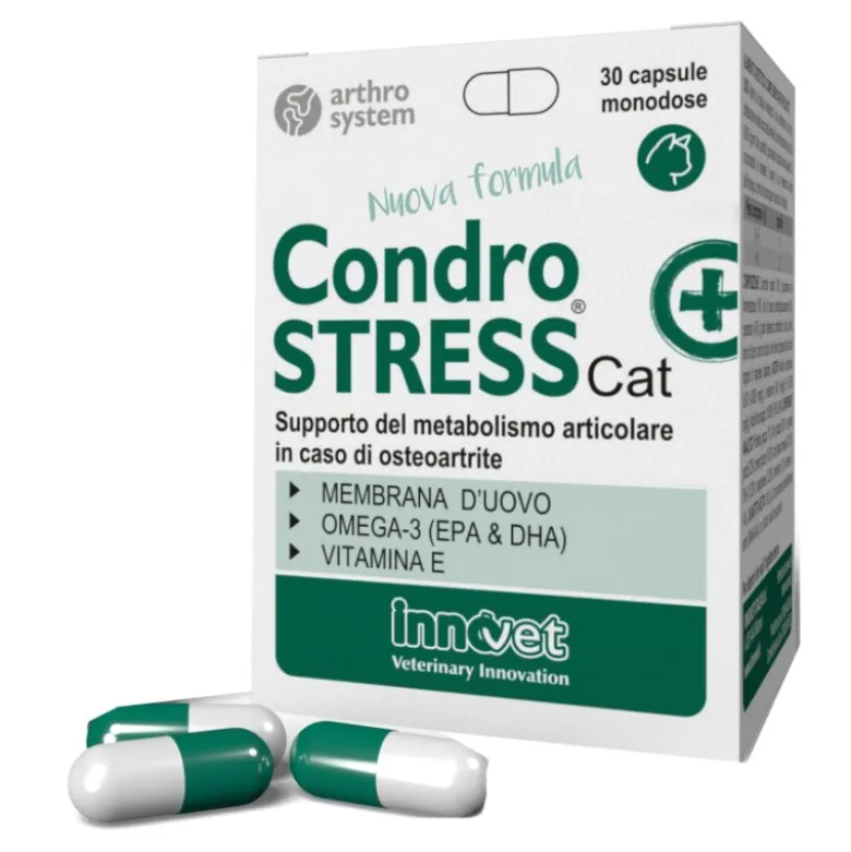 CONDROSTRESS+CAT 30 Capsule