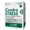 CONDROSTRESS+30 Compresse*Mast.