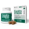CONDROSTRESS Mobility 60Chews
