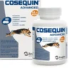 COSEQUIN Advanced Cane 40Cpr