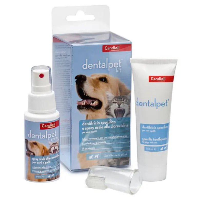 DENTAL PET Kit 1Dent + Ditale