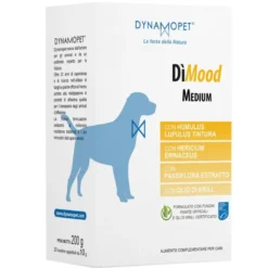 DIMOOD MEDIUM 20Bust.10g