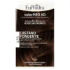 EUPHIDRA Col-ProXD435Cast.Fond