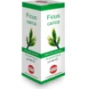 FICUS CARICA MG Gtt 100ml KOS