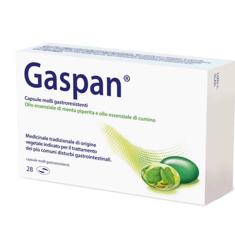 GASPAN 90+50mg 28 Cps