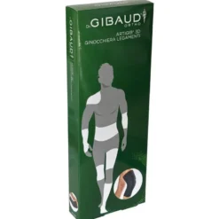 GIBAUD-ORT.Artigib3D Ginocc.3