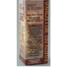Ginkgo Biloba 60 Capsule 510mg