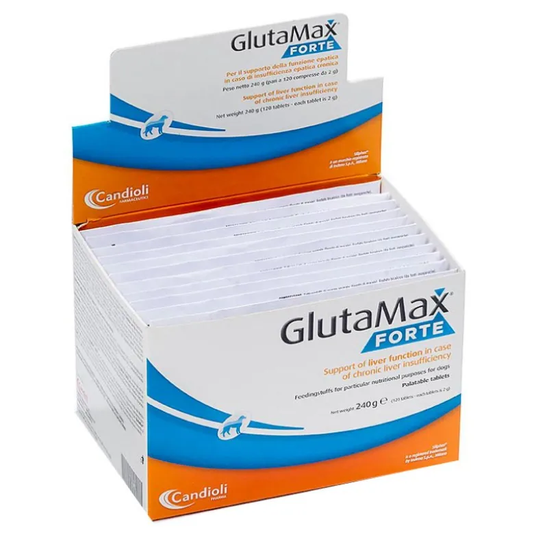 GLUTAMAX Fte 120 Compresse