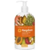 I SORBETTI MangoBoom Sap.Liq.