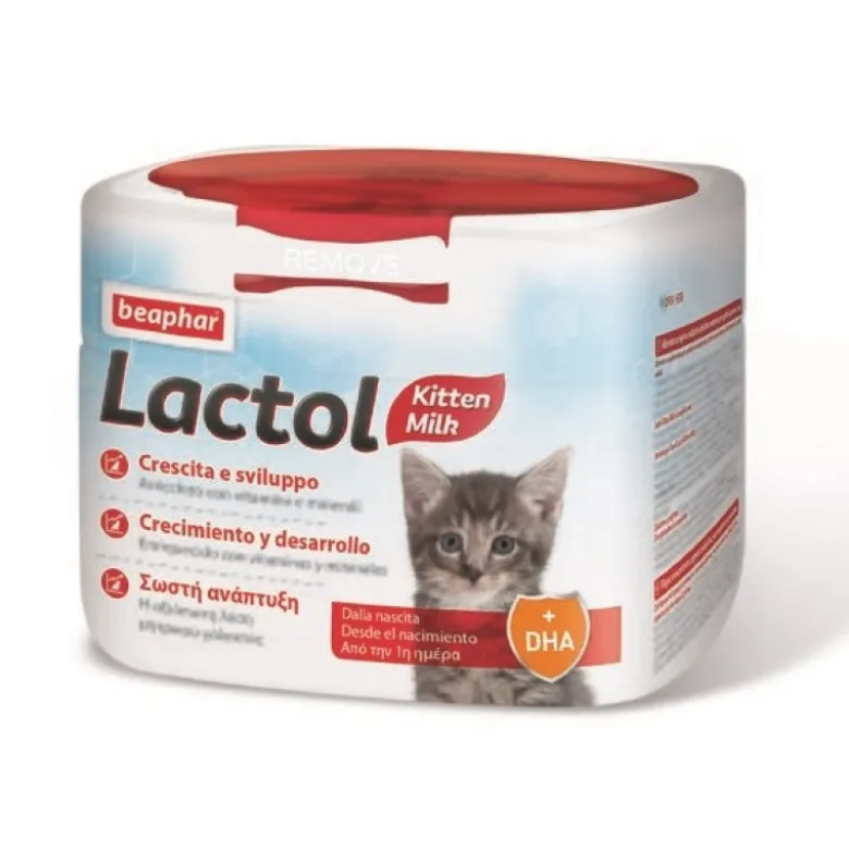 LACTOL LATTE GATTINO POWD 250g