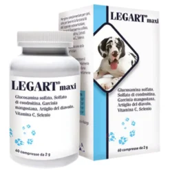 LEGART Maxi 60 Compresse 2g