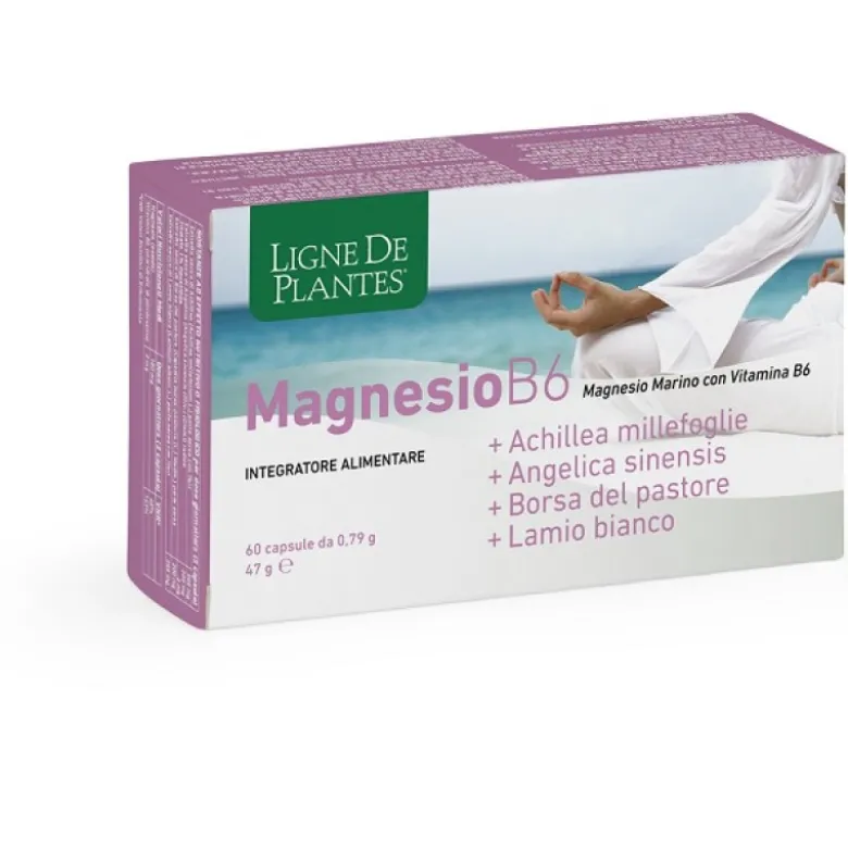 LIGNE MG B6+ACH+ANG+PAST+LAM