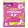 LINES INTERV.Fresh Ripieg.16pz