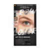 L OREAL BROW TINT 7.0 DARK BLOND