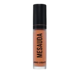 MESAUDA PRO LIGHT CONCEALER P01