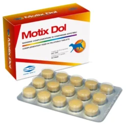MOTIX DOL 60 Compresse 48g