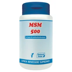 MSM 500 100 Capsule Vegetali