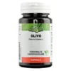 OLIVO 60 Capsule EBV
