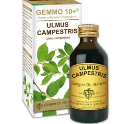 OLMO CAMP 100ml Analc.Gemme10+