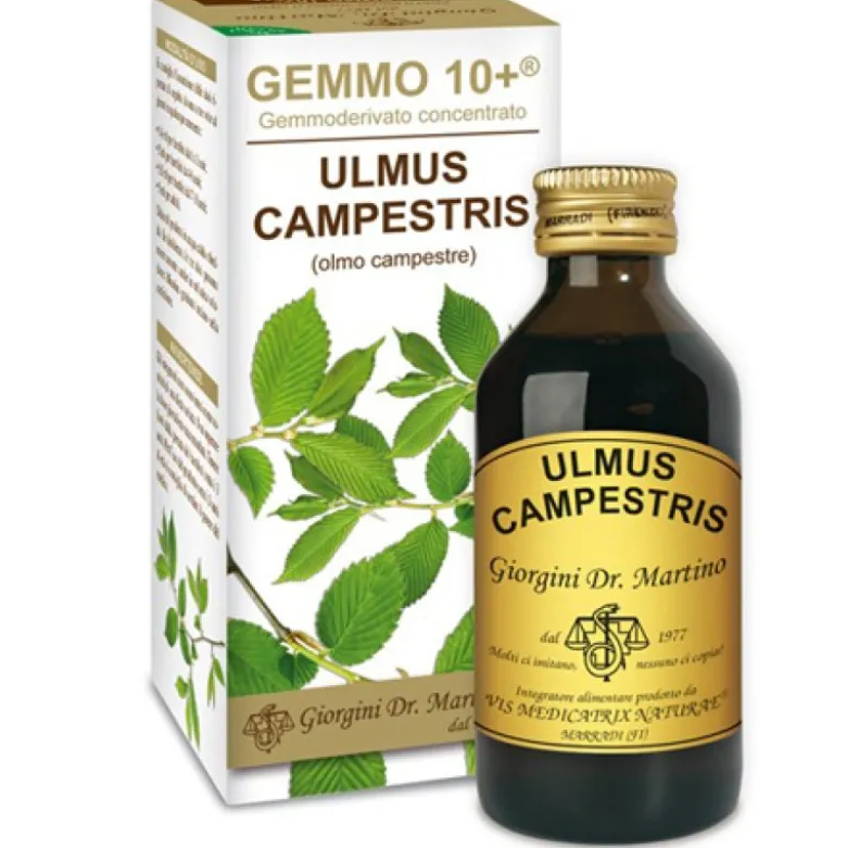 OLMO CAMP 100ml Analc.Gemme10+