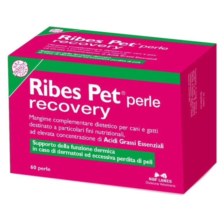 RIBES PET Recovery 60 Perle