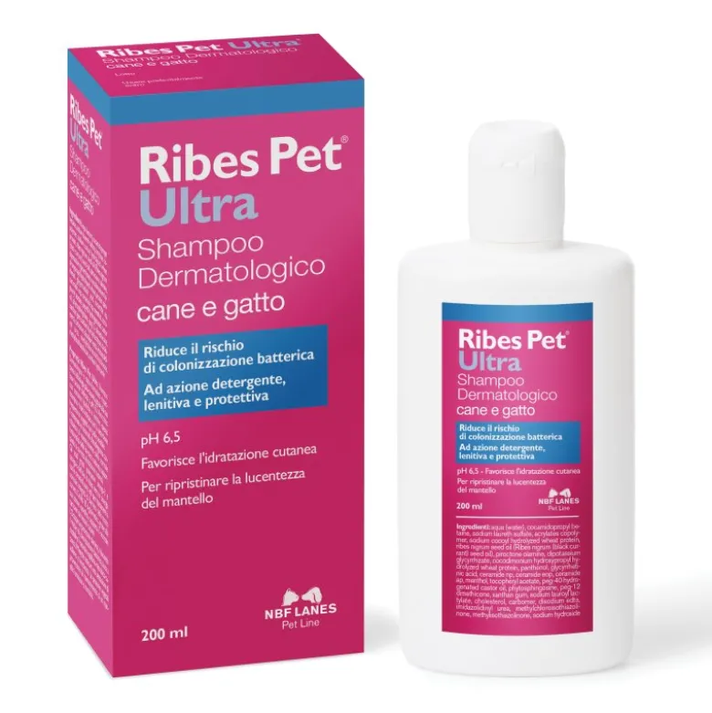 RIBES PET Ultra Sh-Bals.200ml