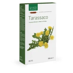 TARASSACO BIO 20ABl 15ml