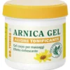 THEISS Arnica Gel Rapido